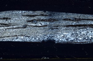 Cross Polarized, S67494