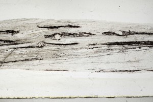 Plane Polarized, S67494