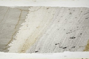 Plane Polarized, S67499