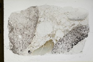 Plane Polarized, S67501