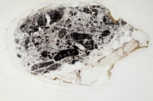 Plane Polarized, S67501/A