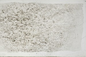 Plane Polarized, S67505