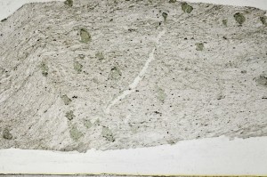 Plane Polarized, S67508