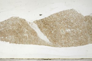 Plane Polarized, S67517