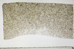 Plane Polarized, S67524