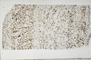 Plane Polarized, S67534