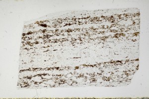 Plane Polarized, S67536