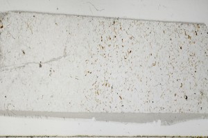 Plane Polarized, S67537