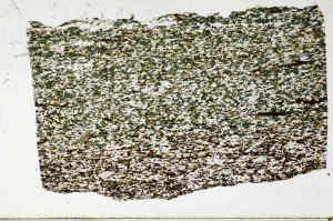Plane Polarized, S67548