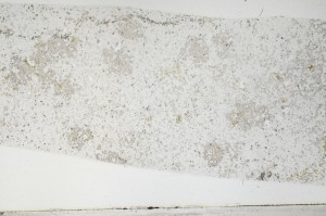 Plane Polarized, S67561