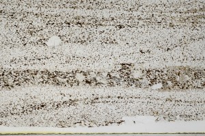 Plane Polarized, S67571