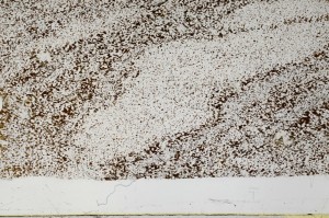 Plane Polarized, S67573