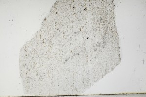 Plane Polarized, S67577