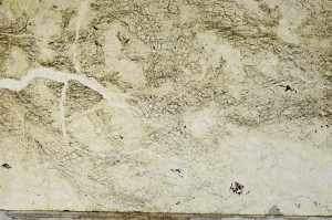 Plane Polarized, S67631