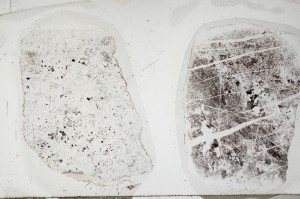 Plane Polarized, S67665