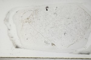 Plane Polarized, S67666
