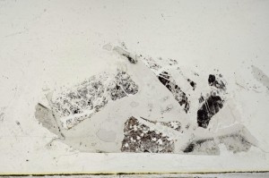 Plane Polarized, S67667