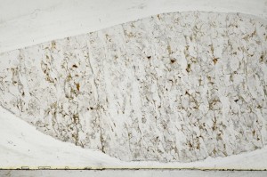 Plane Polarized, S67668
