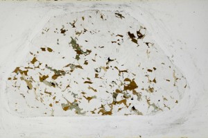 Plane Polarized, S67676