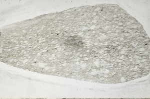 Plane Polarized, S67694