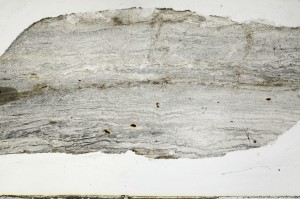 Plane Polarized, S67696