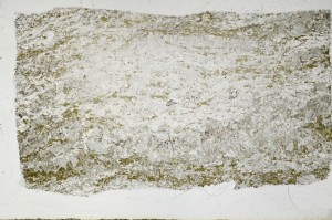 Plane Polarized, S67704