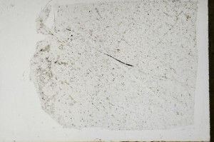 Plane Polarized, S67705