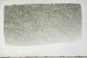 Plane Polarized, S67733/A