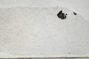 Plane Polarized, S67736