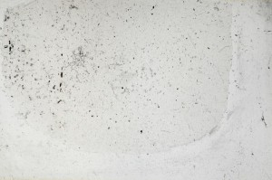 Plane Polarized, S67738