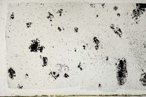Plane Polarized, S67746