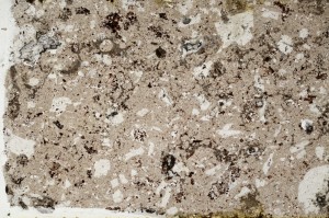 Plane Polarized, S67832
