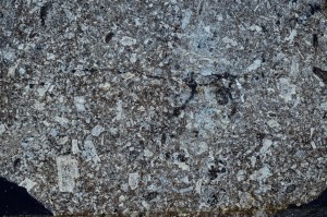 Cross Polarized, S67833