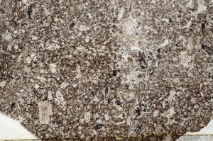 Plane Polarized, S67833