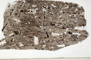 Plane Polarized, S67835