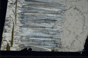 Cross Polarized, S67838