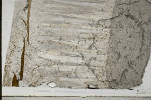 Plane Polarized, S67838