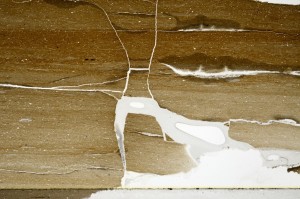 Plane Polarized, S67840