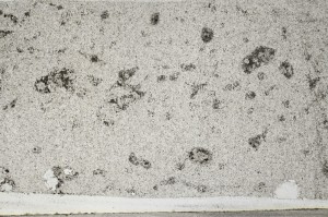 Plane Polarized, S67841