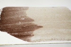 Plane Polarized, S67847