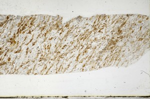 Plane Polarized, S67907/A