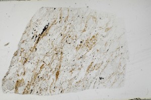 Plane Polarized, S67909