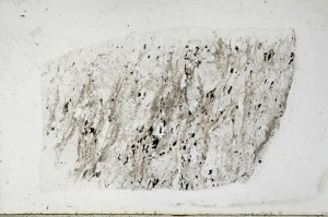 Plane Polarized, S67912