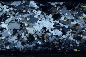 Cross Polarized, S67921