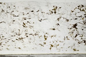 Plane Polarized, S67921