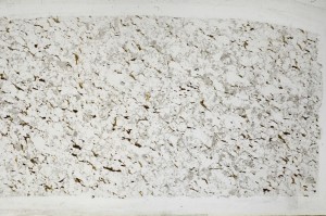 Plane Polarized, S67923