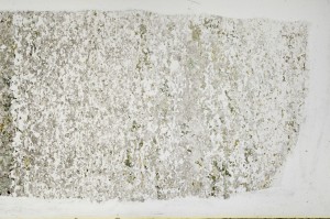 Plane Polarized, S67924