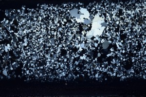 Cross Polarized, S68100