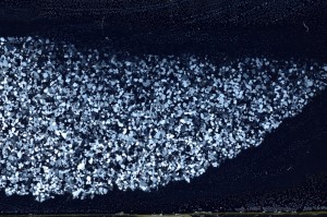 Cross Polarized, S68101