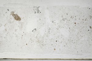 Plane Polarized, S68104